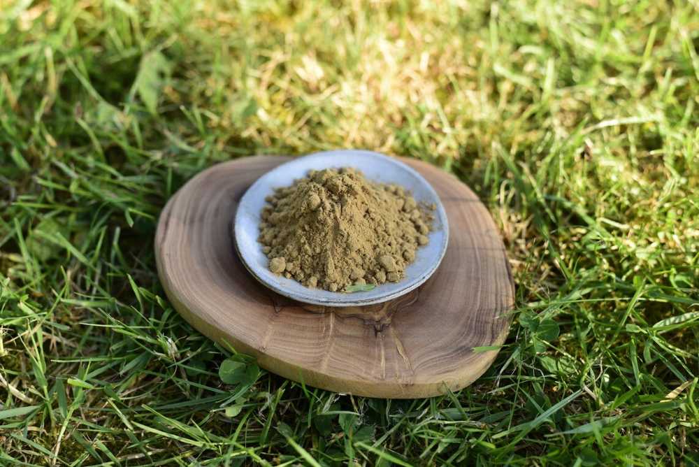 Kanna prémiový prášek Kratomuj.cz 